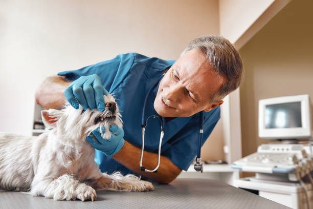 Best Emergency Dentist for Special Needs Patients in Yoncalla, OR